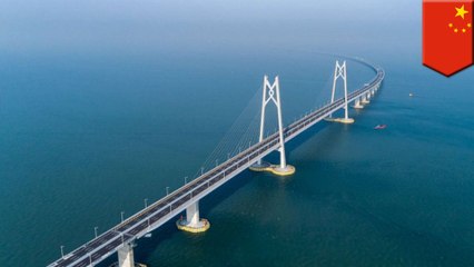 World's longest sea bridge connects China, HK and Macau