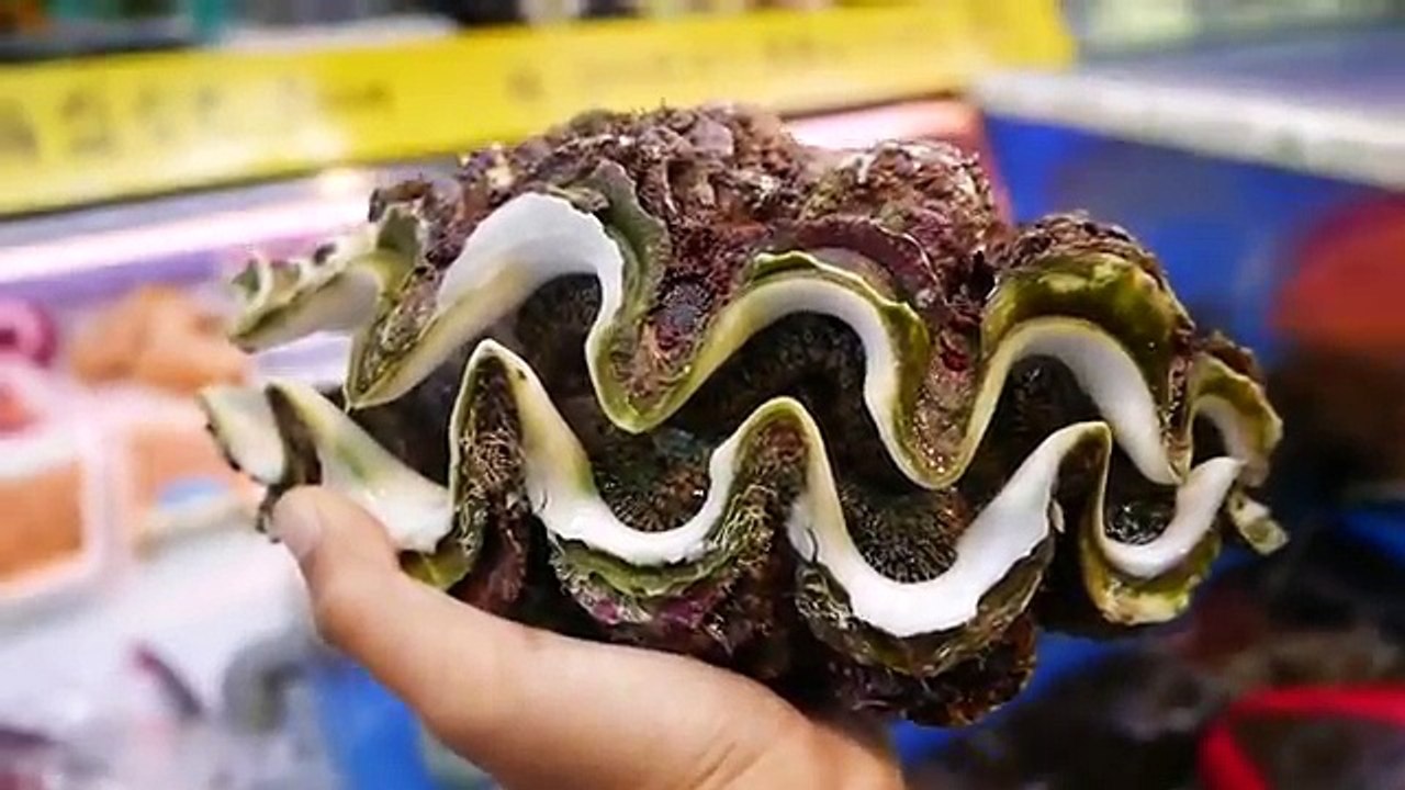Japanese Street Food - GIANT CONCH & CLAM Okinawa Japan Seafood