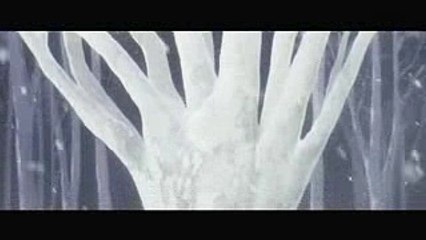 【ダリフラ】第1話冒頭シーン「比翼の鳥」darling in the franxx episode1