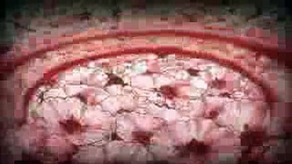 最終回 進撃の巨人3期 第49話 エンディングで衝撃の展開 Attack On Titan Season 3 Episode 12 Last Ending 2 Video Dailymotion