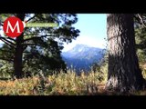 Parque Nacional La Malinche