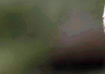 인터넷손오공게임, 릴게임종류 ♧ V F V 7 점 C 0 M ♧ 종합릴게임사이트주소