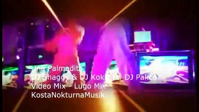 DJ Shaggy DJ Kokis Ft DJ Pakco Una Palmadita 2012