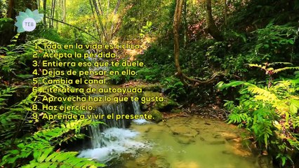 Centro de Terapia Tristeza Agosto 2018