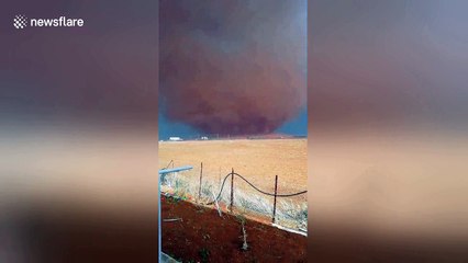 Footage shows wild dust storm in Cyprus