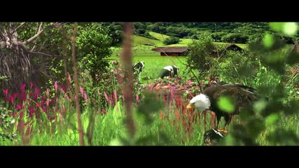ژانر علمی تخیلی - ژانر علمی تخیلی در سینما - ژانر علمی تخیلی در سینمای ایران - جلوه های ویژه - جلوه های ویژه در سینمای ایران  - جلوه های ویژه سینمایی - جلوه های بصری  Iran vfx - Iran Sci Fi films - Dubai VFX- Hollywood VFX - Bollywood VFX