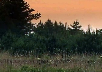 릴게임야마토, 무료릴게임 ♧ V F V 7 점 C 0 M ♧ 릴게임종류