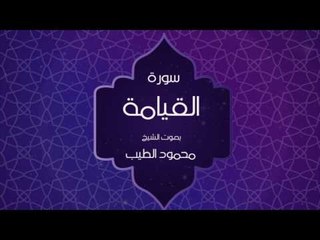 القران الكريم بصوت القارئ محمود الطيب - سورة القيامة
