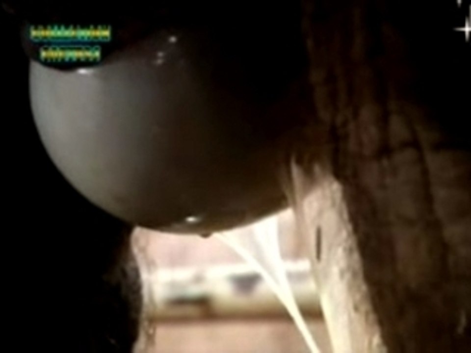 VOYAGE AU CENTRE DE LA VIE : LES MAMMIFERES 5/5