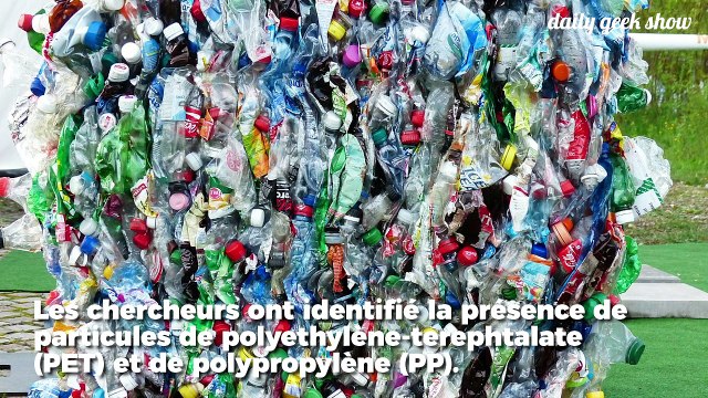 Des micro-plastiques retrouvés dans les excréments humains