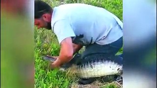 Unbelievable.... He puts his life at risk to save that crocodile with his bare hands!!!