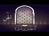 القران الكريم بصوت القارئ الشيخ سهل بن زين ياسين | سورة الجن