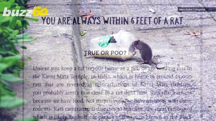 These Bizarre Animal Facts Will Blow Your Mind