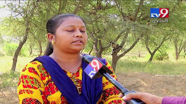 Monkeyman, who spends weekend with monkeys, Ahmedabad- Tv9