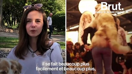 Le chien, meilleur ami de l’homme ? Une évidence pour cette adolescente atteinte de crises de panique