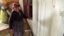 81 Yaşındaki Kadın Altınları Çalmaya Gelen Şahsa Tüfekle Direndi