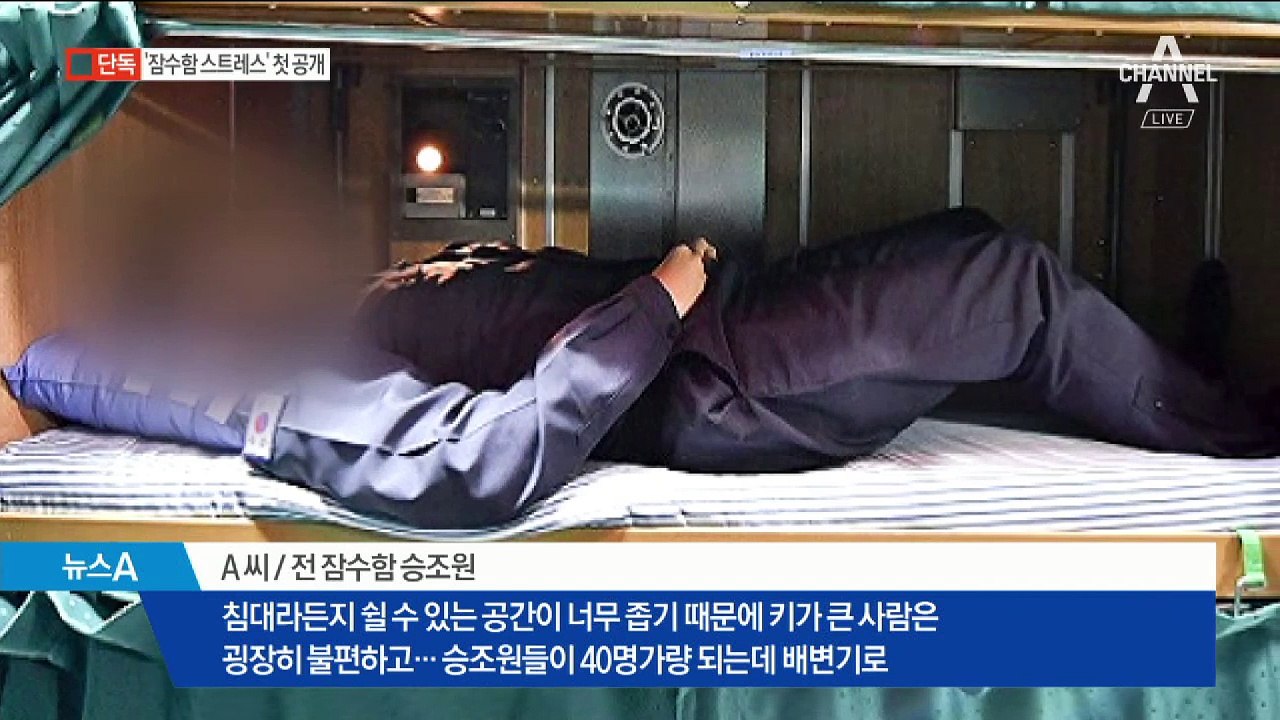 [단독]물티슈로 고양이 샤워…잠수함 승조원 스트레스