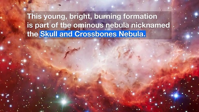 The Pirate Of The Southern Skies