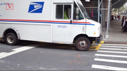 Postal Service Investigates Pile of Undelivered Mail Found in New York Woods