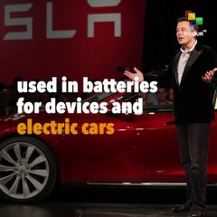 Lithium Fever is Destroying South American Ecosystems