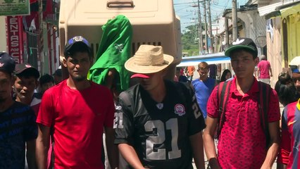 الكلب "بوليو" رفيق قافلة المهاجرين من هندوراس