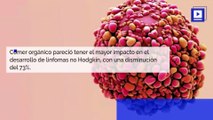 Estudio: comer alimentos orgánicos puede reducir el riesgo de cáncer