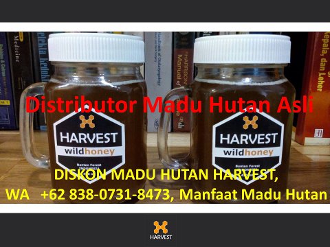 DISKON MADU HUTAN HARVEST, WA +62 838-0731-8473, Manfaat Madu Hutan
