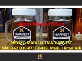 SALE MADU HUTAN HARVEST, WA    62 838-0731-8473, Khasiat Madu Hutan