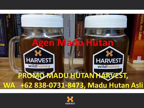 OBRAL MADU HUTAN HARVEST, WA +62 838-0731-8473, Jual Madu Hutan Asli