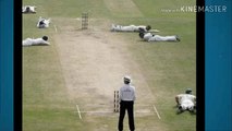 BRAIN FADE Run Out Moments of Cricket