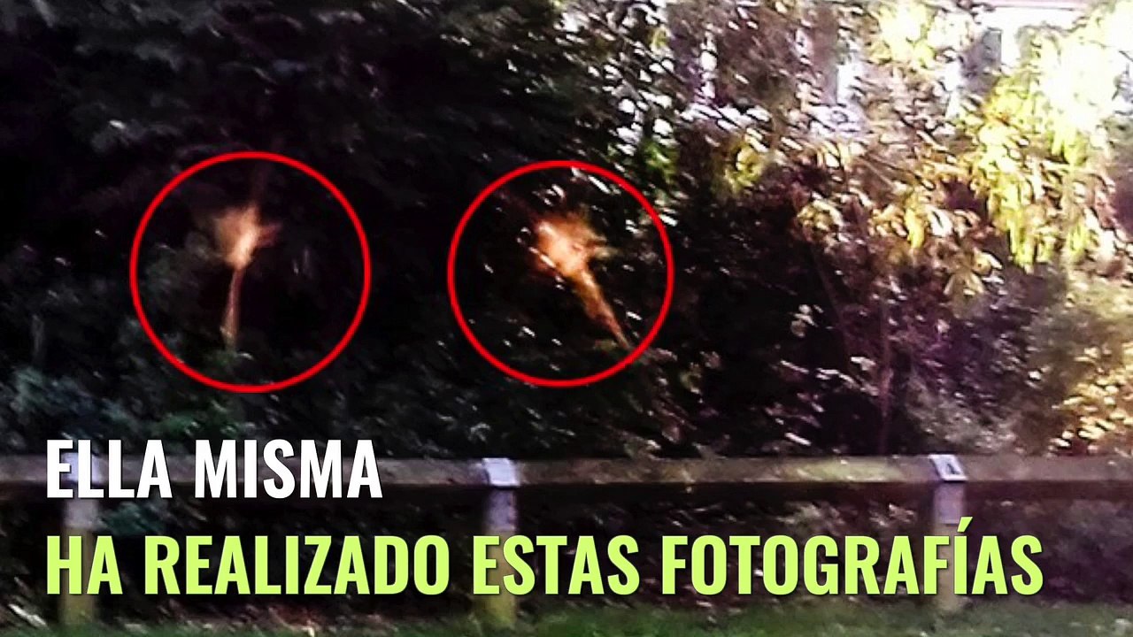 Una mujer afirma haber visto hadas en su jardín y muestra las fotografías que les hizo