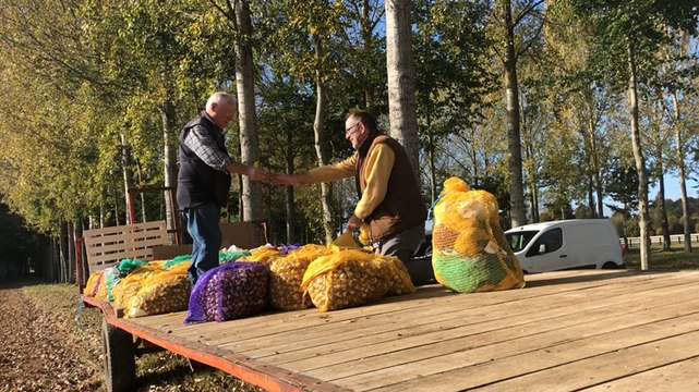 Les tulipes de l’espoir contre le cancer