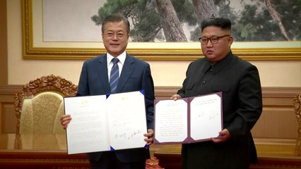 헌법의 충돌?...'평양선언' 비준 법리공방 / YTN