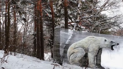 "Celografite": arte em papel celofane