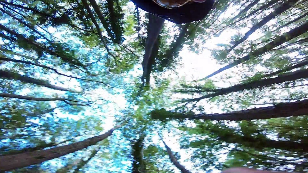 MSA 20 octobre 2018