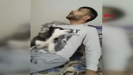 Aydın Köpeğini Kurtarmak İsteyen Doktor Ölümden Döndü