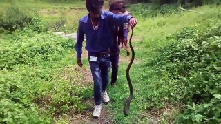 Des villageois tentent de sauver ce cobra sur le point de se noyer... Risqué