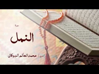 سورة النمل | بصوت القارئ الشيخ محمد العالم الدوكالى