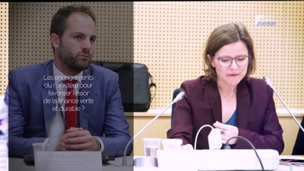 Itw Elise CALAIS (Ministère Transition écologique et solidaire) - Finance durable - cese