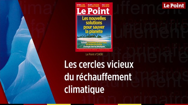 Les cercles vicieux du réchauffement climatique