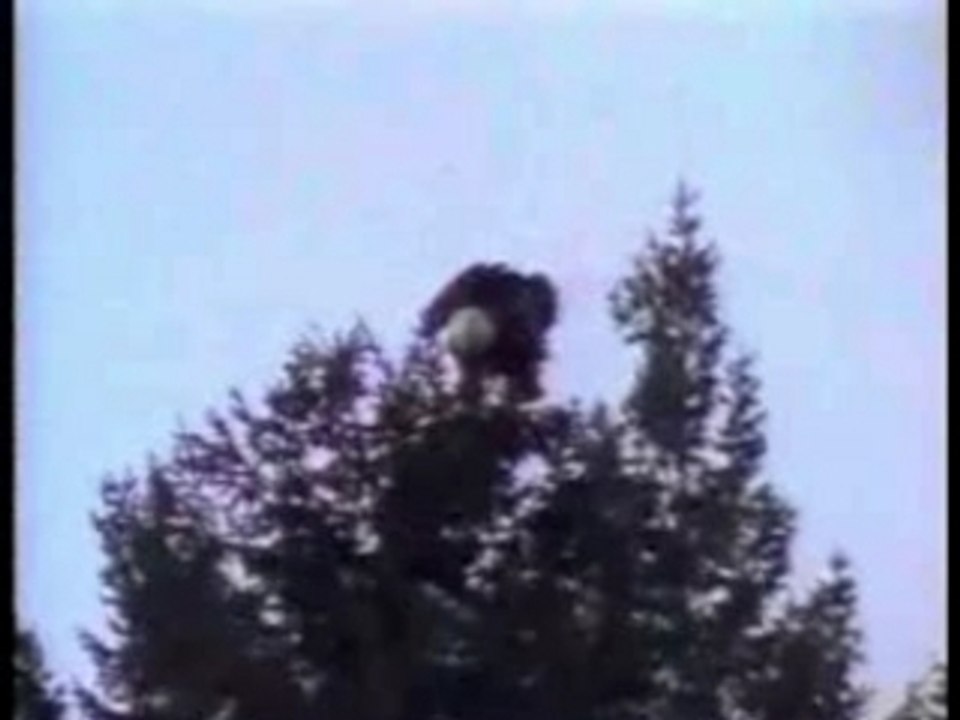 L'Esprit Libre