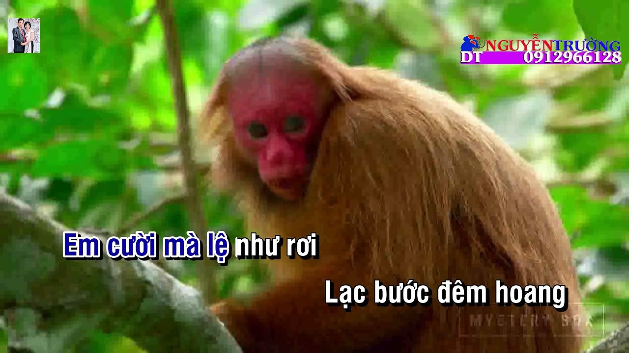 Hồng Nhan - Dương Sang ft Tuấn Quang