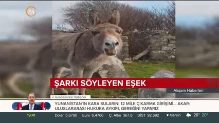 Bu eşek şarkı söylüyor