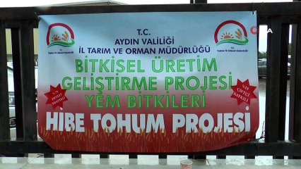 Söke’de hibe yem bitkisi tohumları dağıtıldı