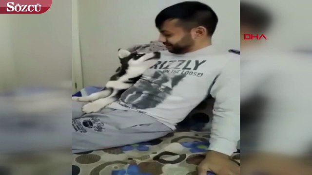 Köpeğini kurtarmak için suni teneffüs yapan doktor ölümden döndü