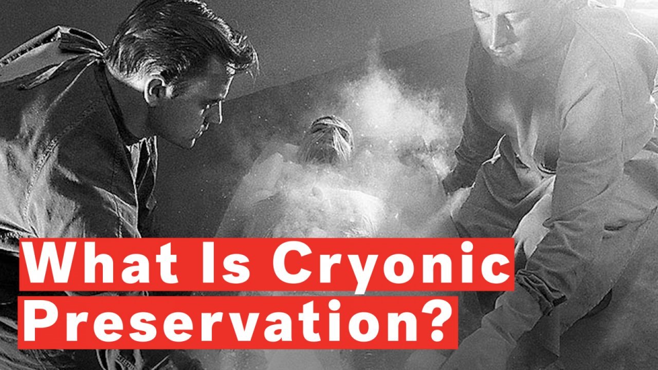 What Is Cryonic Preservation?