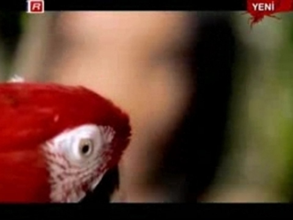 Gülsen - E Bilemem Artik by Aluxton