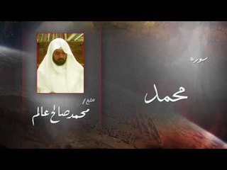 سورة  محمد  | بصوت القارئ الشيخ  محمد صالح عالم