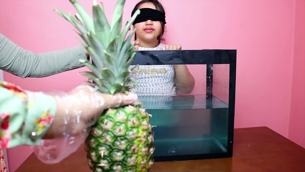 تحدي ايش الي في الصندوق المائي !!! سمك قرش في بيتنا ! what's in the box challenge