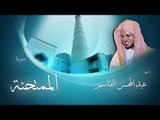 سورة الممتحنة | بصوت القارئ الشيخ عبد المحسن القاسم